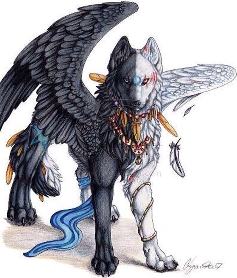 Featured image of post Mythical Winged Wolf Drawing