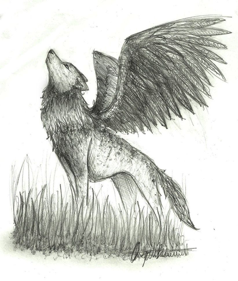 Featured image of post Realistic Winged Wolf Drawing