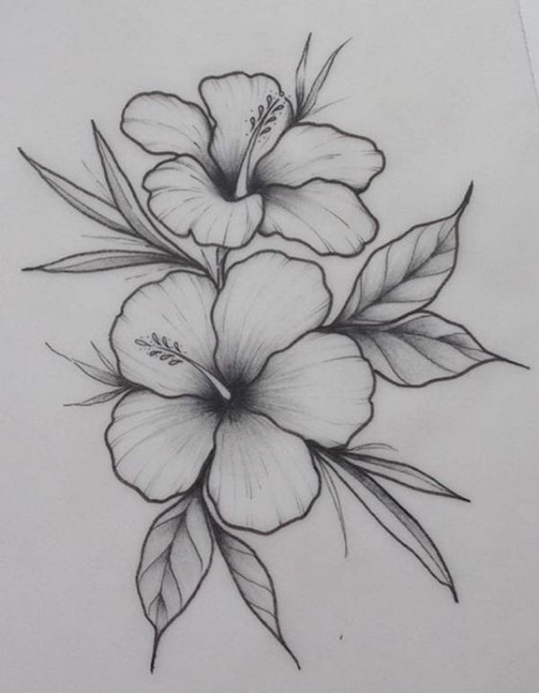 Featured image of post Simple Sketches Of Flowers