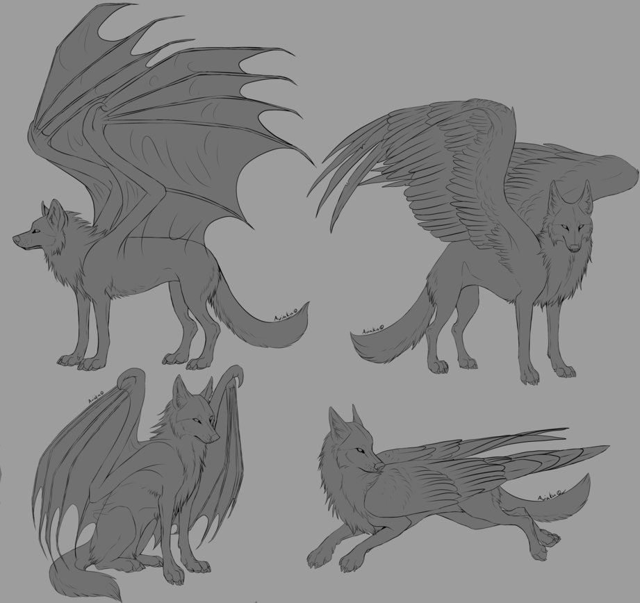 Featured image of post Winged Wolf Drawing Base